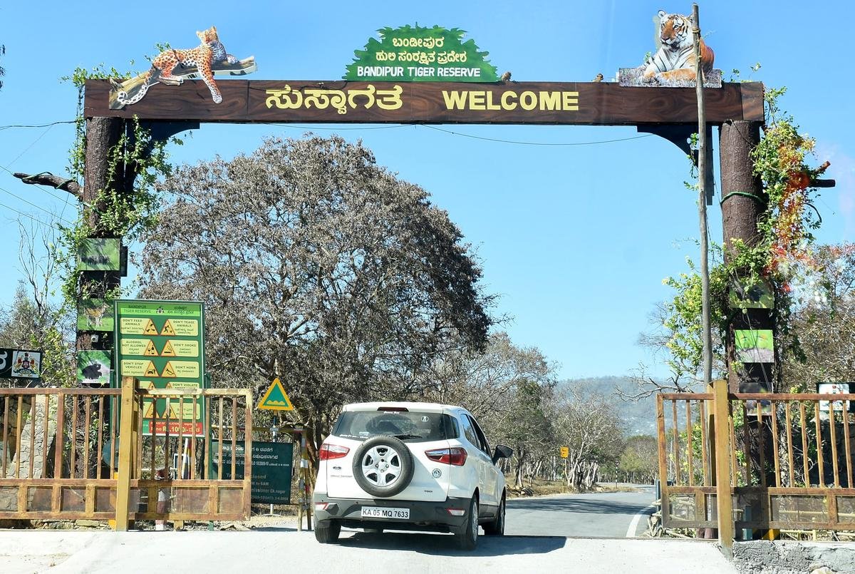 Bandipur safari timings