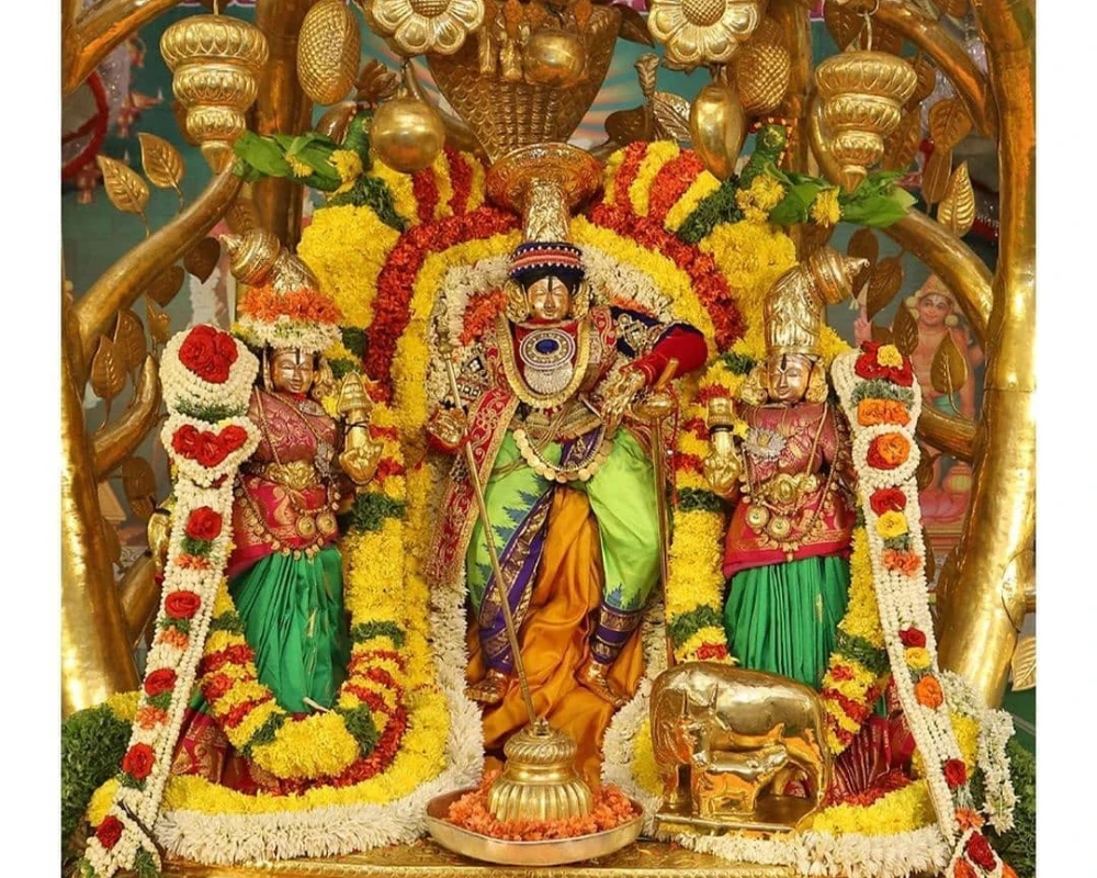 tirupati balaji darshan 500 rupees ticket